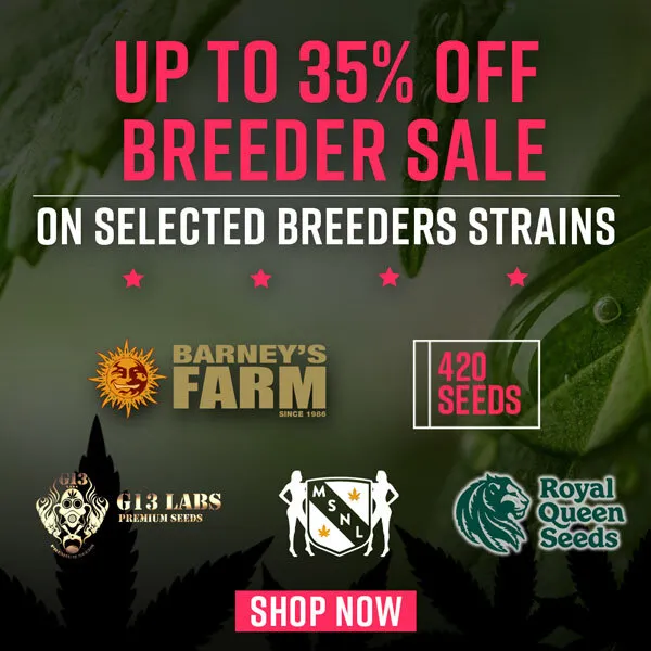 420-Seeds Breeder Sale