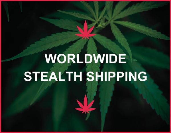 Worldwide Stealth Shipping