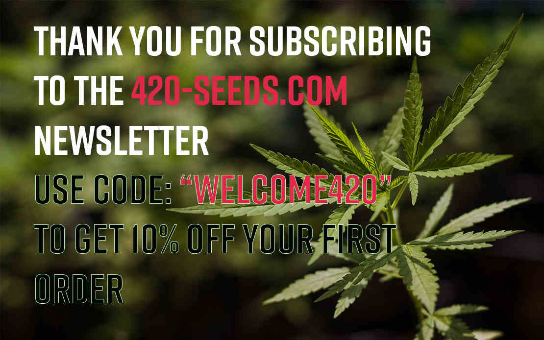 420seeds newsletter promotion
