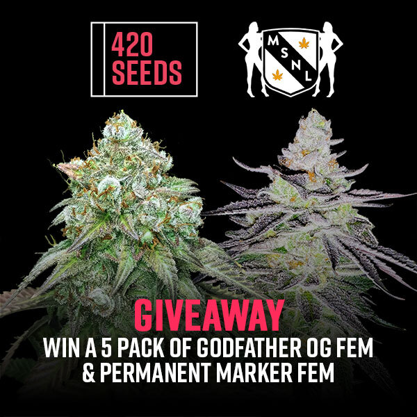 Cannabis Seeds Giveaway
